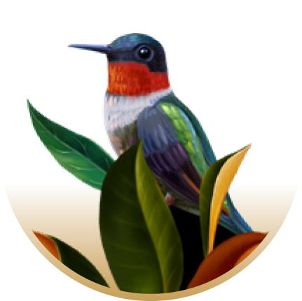 Caroline Amouzou-Charlier